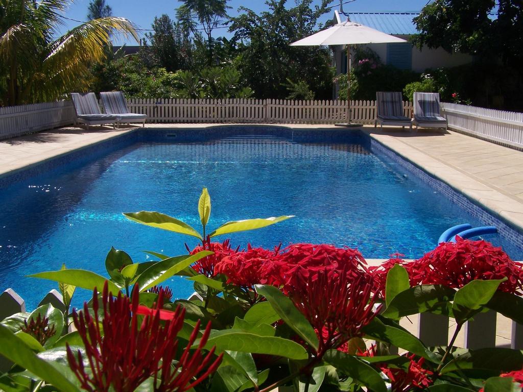 Bed And Breakfast Maison Papaye La Gaulette Exterior photo