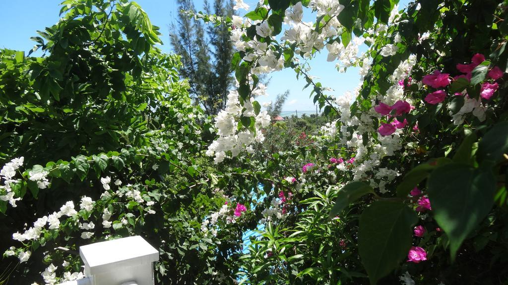 Bed And Breakfast Maison Papaye La Gaulette Exterior photo